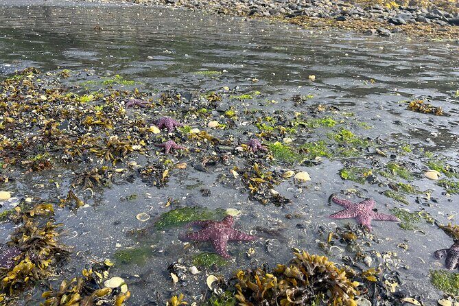 Ketchikan's Favorite Cultural and Historical Sites - Practical Considerations