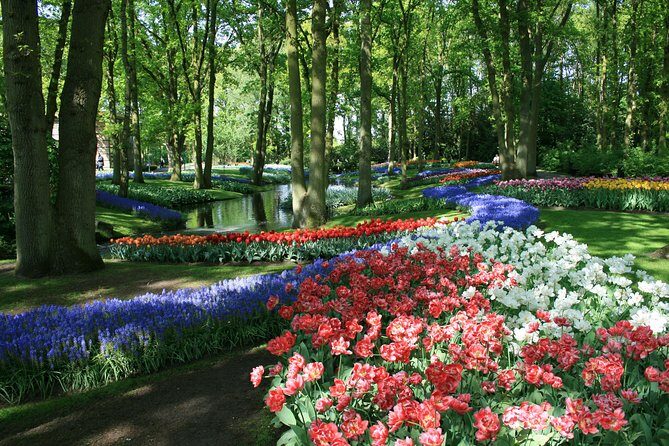 Keukenhof and Flower Fields Private Tour from Amsterdam - What’s Not Included