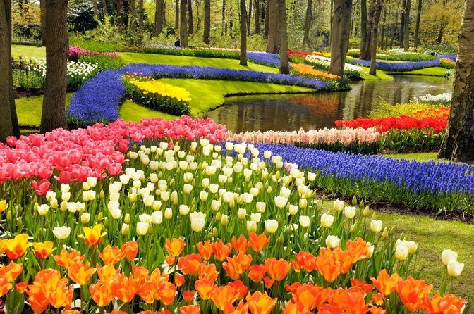 Keukenhof and Zaanse Schans Windmills Day Trip from Amsterdam - Key Points
