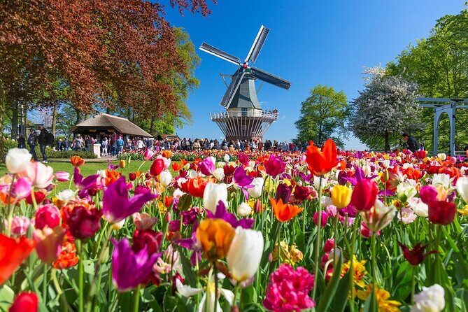 Keukenhof Entry Ticket plus Round-Trip Shuttle Bus from Amsterdam - The Experience in Detail