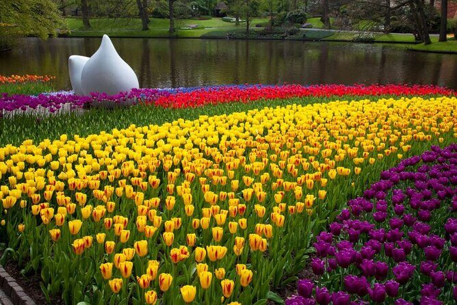 Keukenhof Entry Ticket plus Round-Trip Shuttle Bus from Amsterdam - The Sum Up