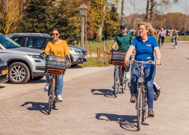 Keukenhof: Flower Fields Small-Group Cultural Bike Tour - The Basics: What You’re Getting