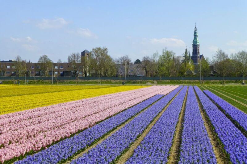Keukenhof: Flower Fields Small-Group Cultural Bike Tour - The Cultural and Historical Insights