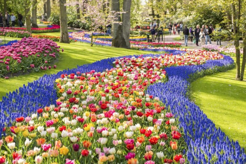 Keukenhof: Flower Fields Small-Group Cultural Bike Tour - Who Will Love This Tour?