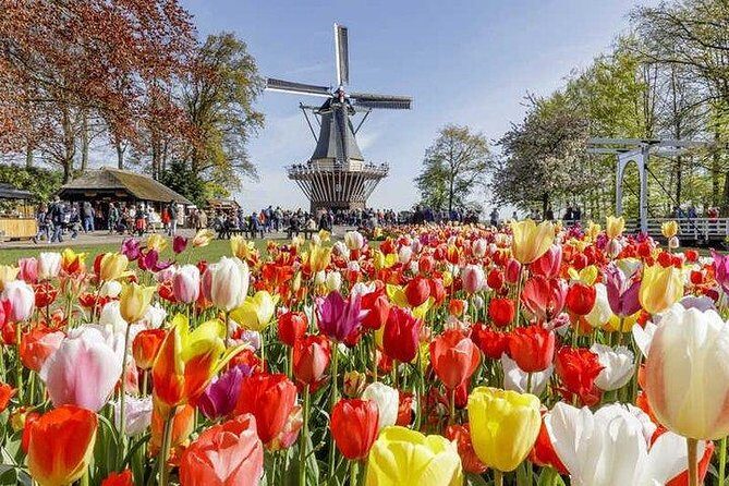 Keukenhof & FlowerFarm Tour From Amsterdam Skip-The-Line tickets - Who Is This Tour Best Suited For?