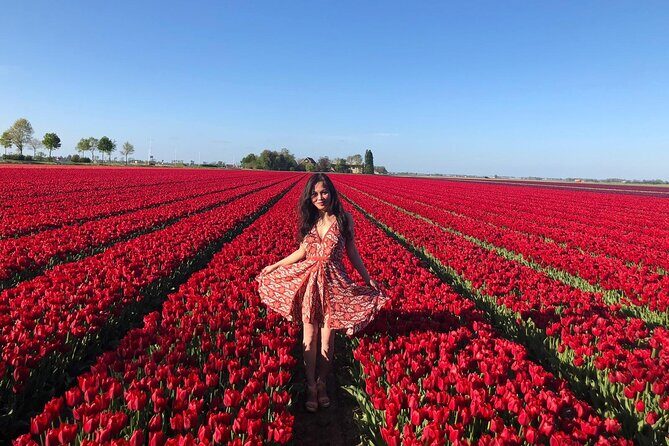 Keukenhof Gardens and Delft Guided Tour from Amsterdam - A Deep Dive into the Tour Experience