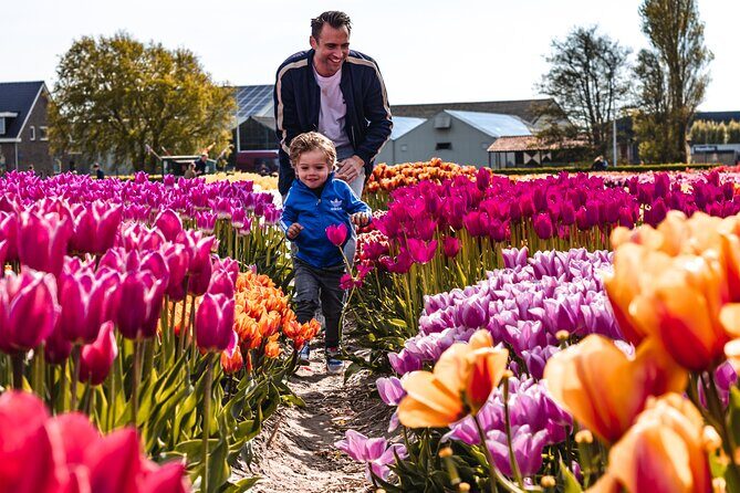 Keukenhof Gardens & Tulip Experience Tour from Amsterdam - Starting Point and Transportation