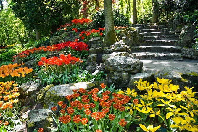 Keukenhof Gardens & Tulip Experience Tour from Amsterdam - The Return Journey
