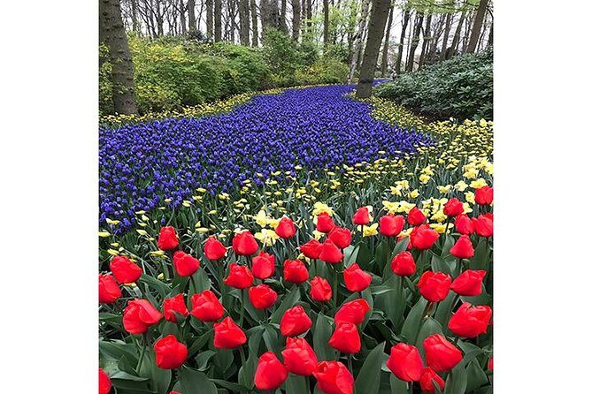 Keukenhof Private Floral Tour from Amsterdam - A Closer Look at the Itinerary