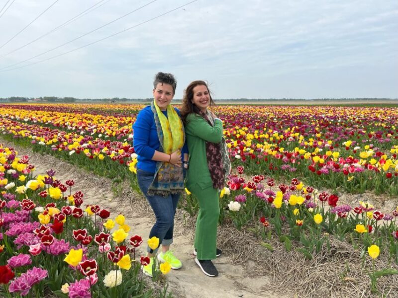 Keukenhof, Tulip Farm, Flower Fields & Windmills - FAQs