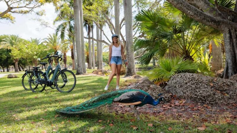 Key Biscayne: Self-Guided E-bike Tour - Who Should Consider This Tour?