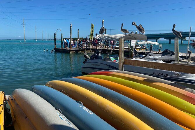 Key Largo and Islamorada Private Tour by Cabriolet Bus - An In-Depth Look at the Tour Experience