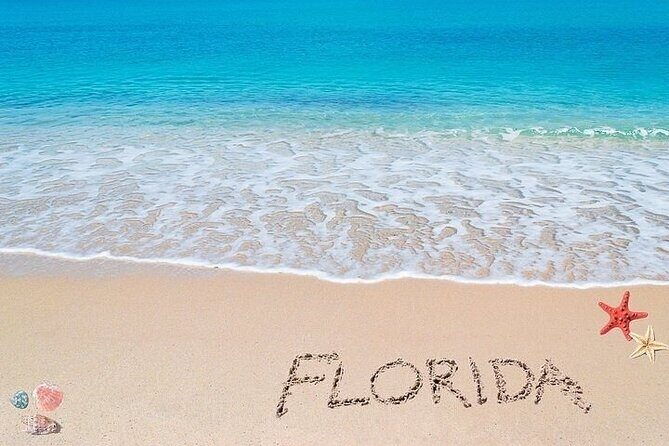 Key Largo Private Transfers (up to 14 passengers) - Final Thoughts: Who Is This Transfer Right For?
