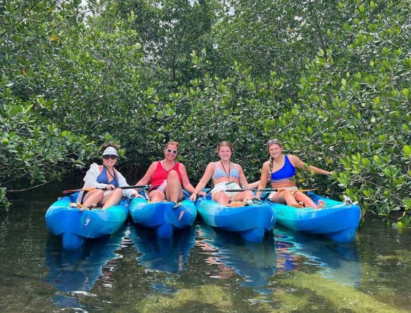 Key West: 2-hour Mangrove Kayak Tour - Key Points