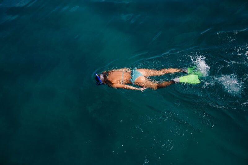 Key West: 3-Hour Afternoon Reef Snorkel with Drinks - What to Expect from the Experience