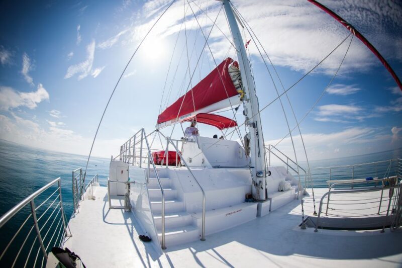 Key West: 3-Hour Afternoon Reef Snorkel with Drinks - Authentic Experiences from Past Travelers