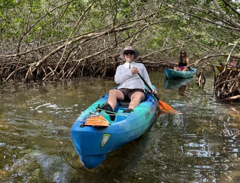 Key West: 3-hour Mangrove Kayak Tour - The Experience: Pros and Cons