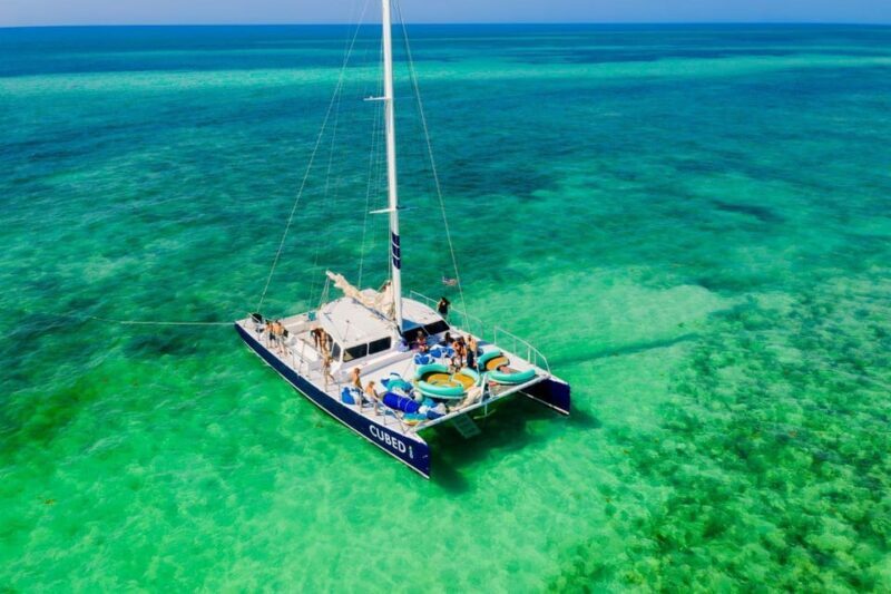 Key West: Afternoon Catamaran Sail and Dolphin Watch - What the Reviews Say