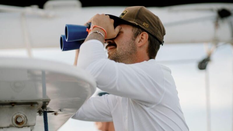 Key West: Afternoon Catamaran Sail and Dolphin Watch - Who Is This Tour Best For?