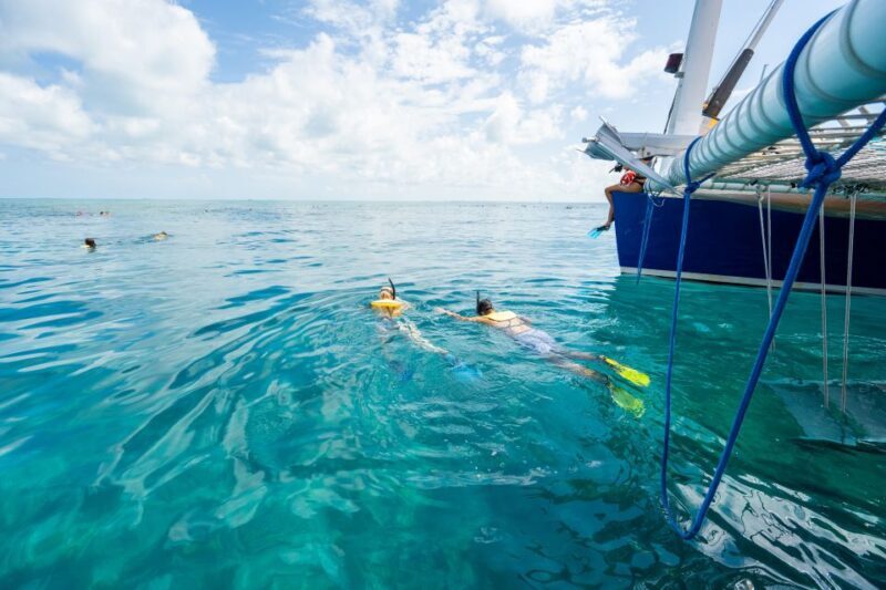 Key West: Afternoon Reef Snorkel Tour with Open Bar - The Sum Up