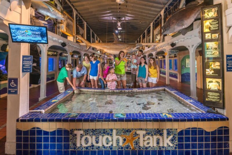 Key West Aquarium Tickets - Final Thoughts