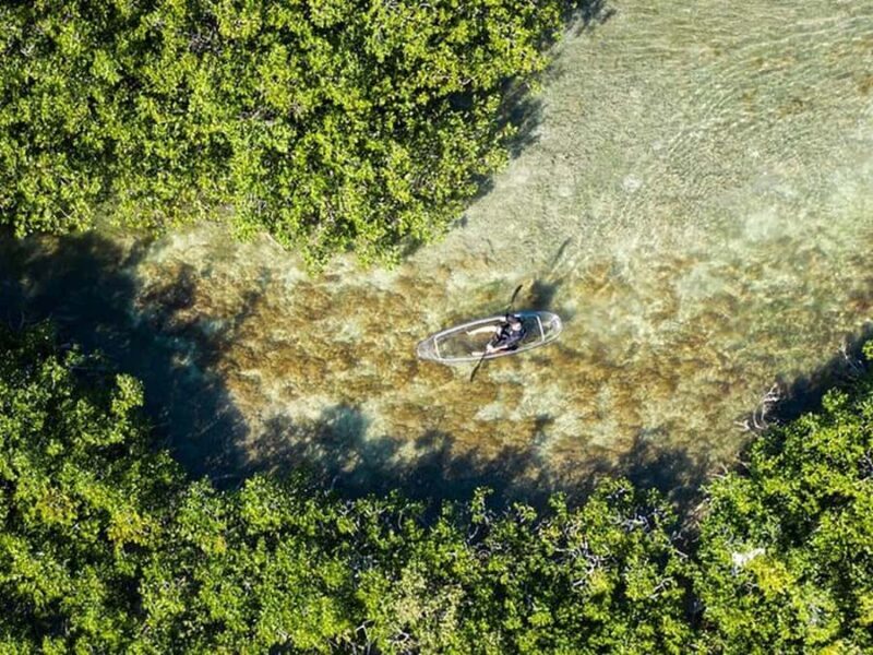 Key West Area: Guided Clear Kayak Eco-Tour - Exploring the Florida Keys in a New Way: The Guided Clear Kayak Eco-Tour