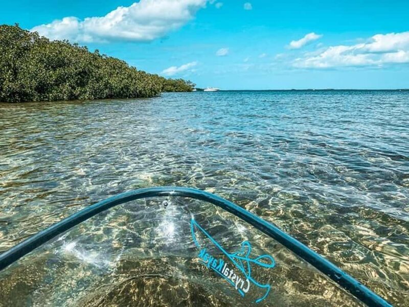 Key West Area: Guided Clear Kayak Eco-Tour - An In-Depth Look at the Guided Clear Kayak Eco-Tour
