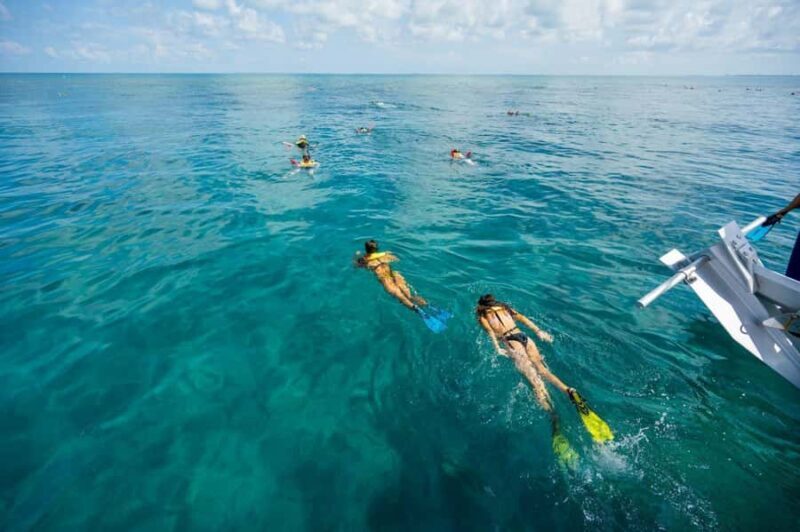 Key West: Catamaran Snorkel with Seafood Boil and Open Bar - Authentic Experiences and Traveler Feedback