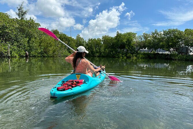 Key West Clear Kayak Eco Tour - Exploring the Itinerary in Detail