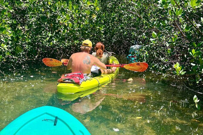 Key West Clear Kayak Eco Tour - Who Should Consider This Tour?