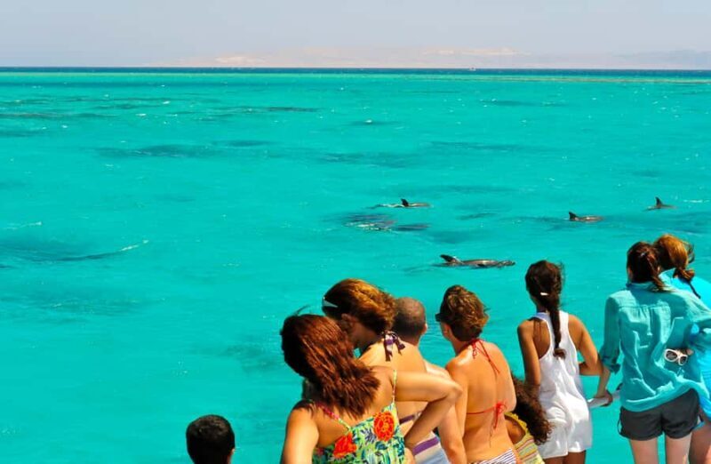 Key West: Dolphin & Reef Snorkel Trip with Sunset Option - What to Expect on this Tour
