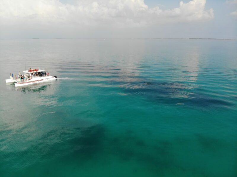 Key West: Dolphin & Reef Snorkel Trip with Sunset Option - Key Points