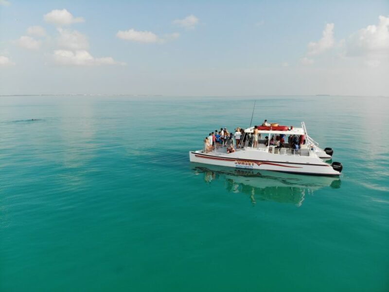 Key West: Dolphin & Reef Snorkel Trip with Sunset Option - The Value of This Tour
