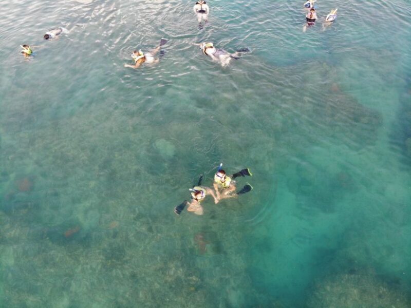 Key West: Dolphin & Reef Snorkel Trip with Sunset Option - Final Thoughts: Is It Worth It?