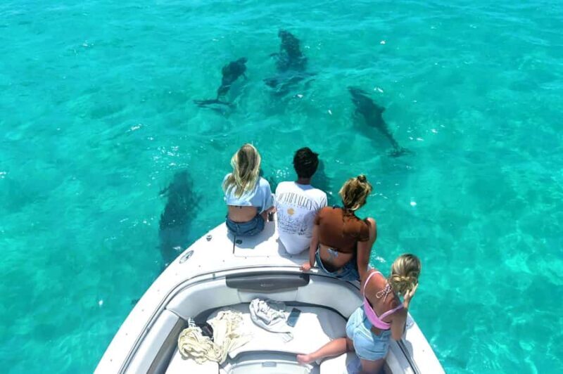 Key West Dolphin & Snorkel Tour - Small Group - Why This Tour Stands Out
