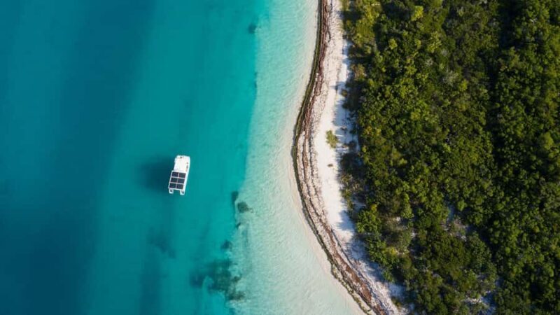 Key West: Dolphin Watch + Guided Snorkel with Honest Eco - Considerations and Practicalities