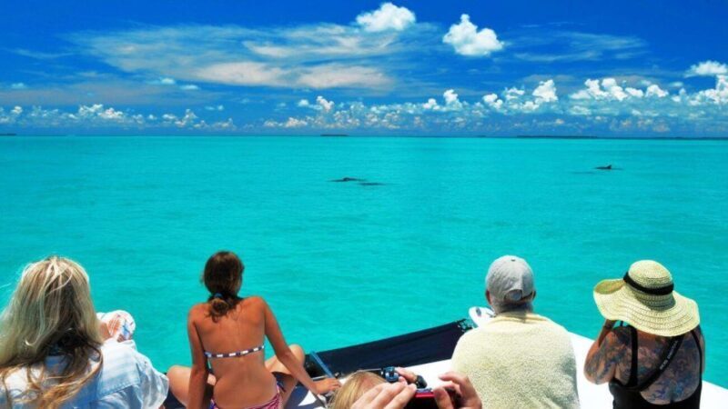 Key West: Dolphin Watching and Snorkeling Eco Cruise Tour - Exploring the Key West Dolphin Watching and Snorkeling Eco Cruise Tour