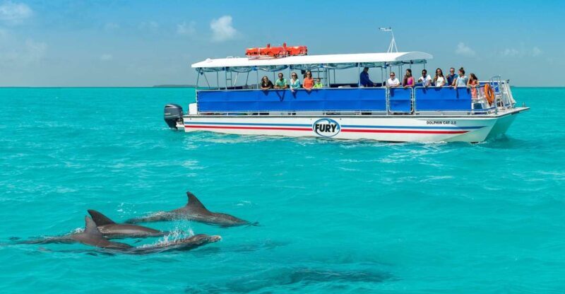 Key West: Dolphin Watching and Snorkeling Eco Cruise Tour - Final Thoughts: An Authentic and Enjoyable Marine Adventure