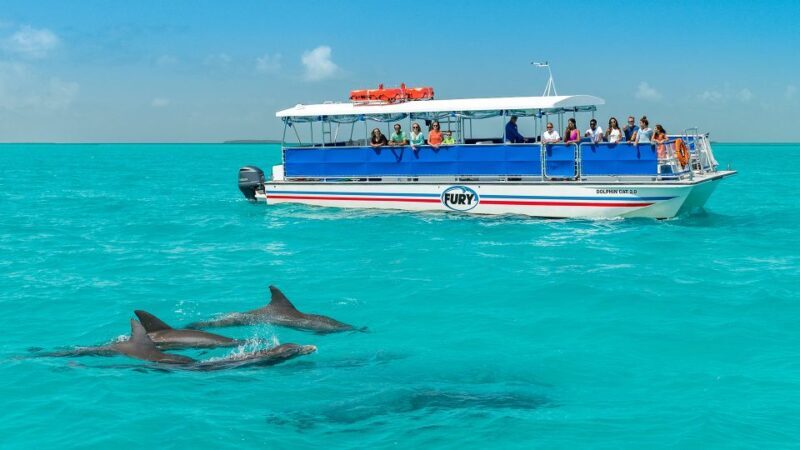 Key West: Dolphin Watching and Snorkeling Eco Cruise Tour - Key Points
