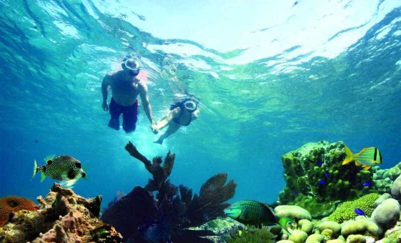 Key West: Dolphin Watching and Snorkeling Eco Cruise Tour - Authentic Insights from Reviewers