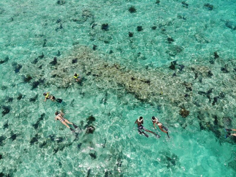 Key West: Dolphin Watching and Snorkeling Sunset Cruise - A Deep Dive into the Experience