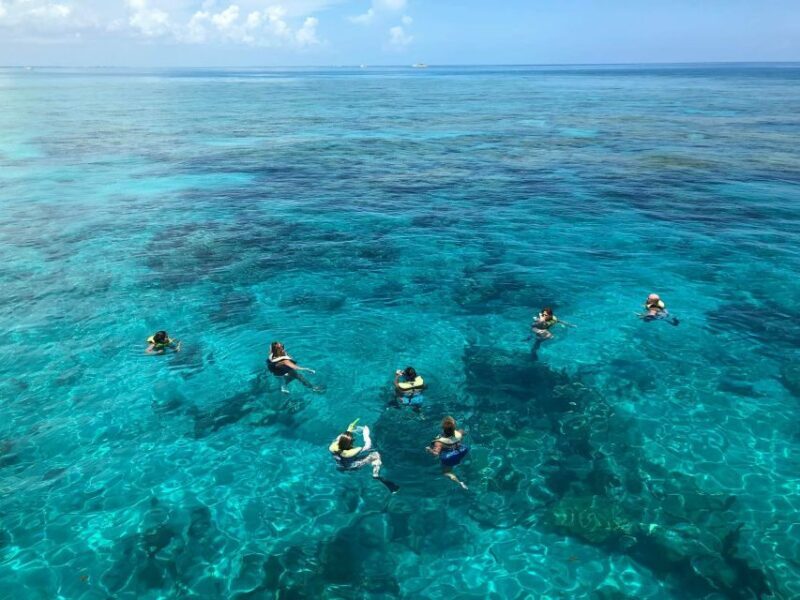 Key West: Dolphin Watching and Snorkeling Sunset Cruise - FAQ: Your Questions Answered