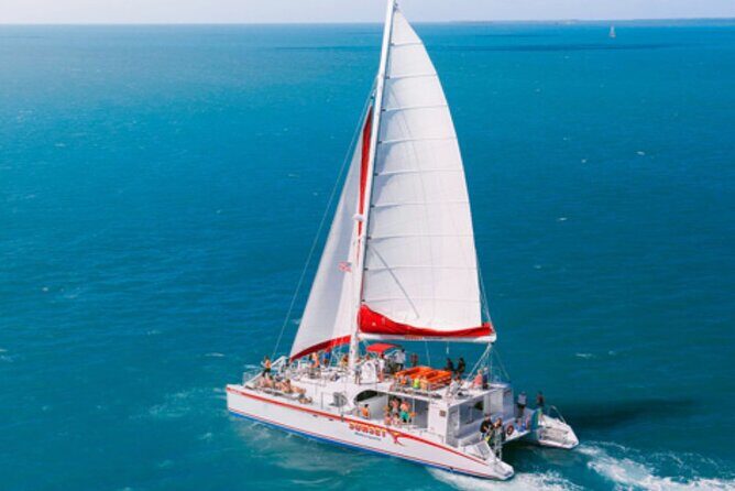Key West: Dolphin Watching cruise & Snorkeling unlimited beer & soda - FAQ
