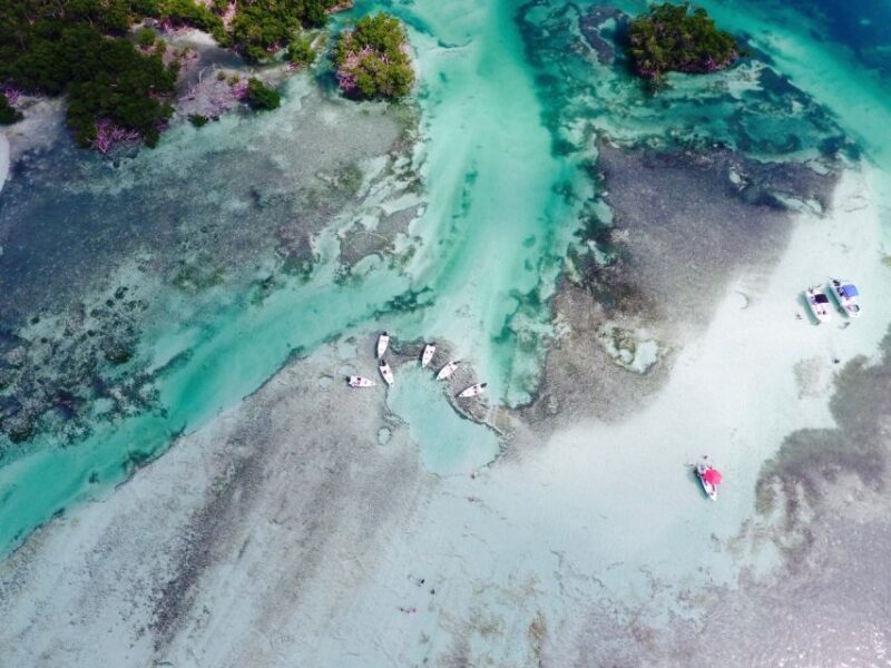Key West: Eco Safari Sandbar Tour with Snorkeling - The Experience: Pros and Cons