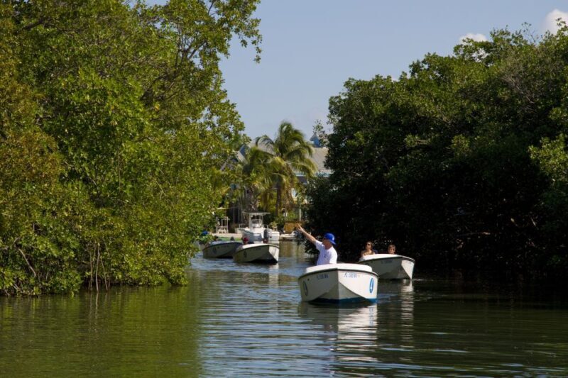 Key West: Eco Safari Sandbar Tour with Snorkeling - Who Should Consider This Tour?