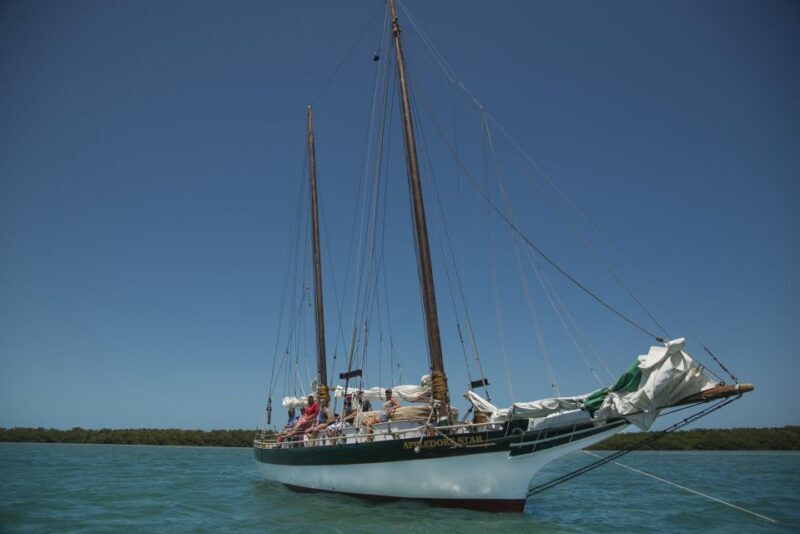 Key West: Full Day Tour of Key West National Wildlife Refuge - An In-Depth Look at What to Expect