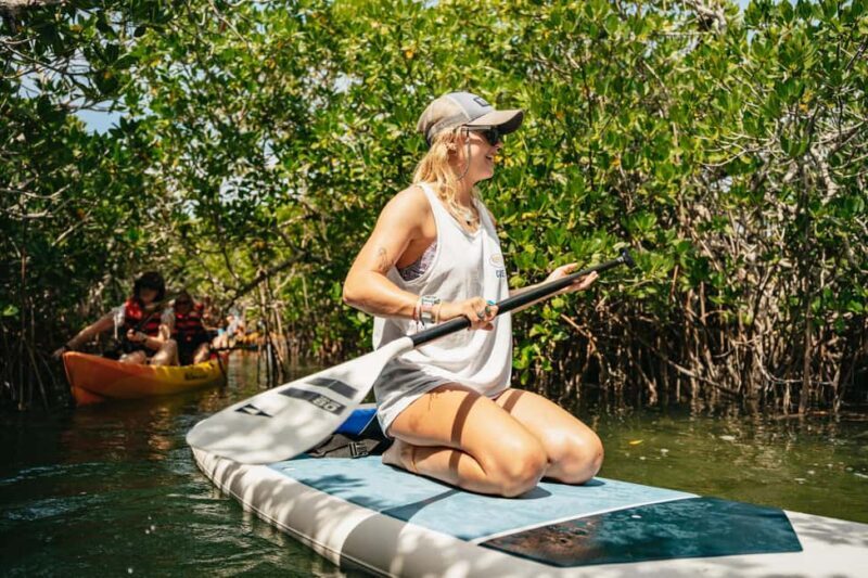 Key West: Hidden Sanctuary Kayak Tour with Sandbar Safari - Exploring the Tour Itinerary