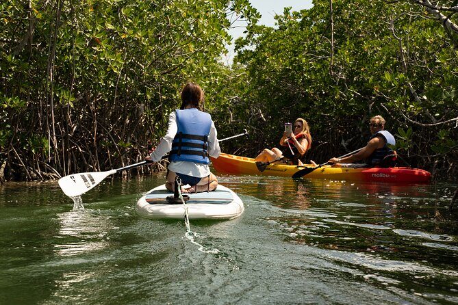 Key West Hidden Sanctuary Mangrove Kayak Tour With Drinks - Introduction: A Well-Rounded Escape