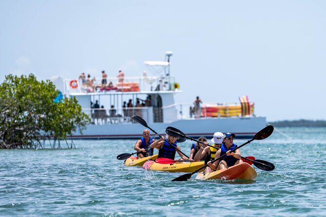 Key West Hidden Sanctuary Mangrove Kayak Tour With Drinks - The Sum Up: Who Is This Tour For?