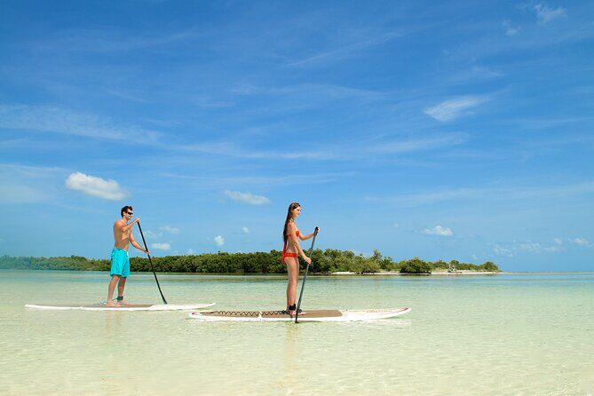 Key West Island Eco Tour with Transportation from Miami - A Deep Dive into the Tour Experience